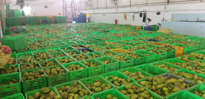 益陽瑪山產(chǎn)業(yè)機(jī)械有限公司，湖南益陽螺旋風(fēng)管廠家，熱風(fēng)食品烤房