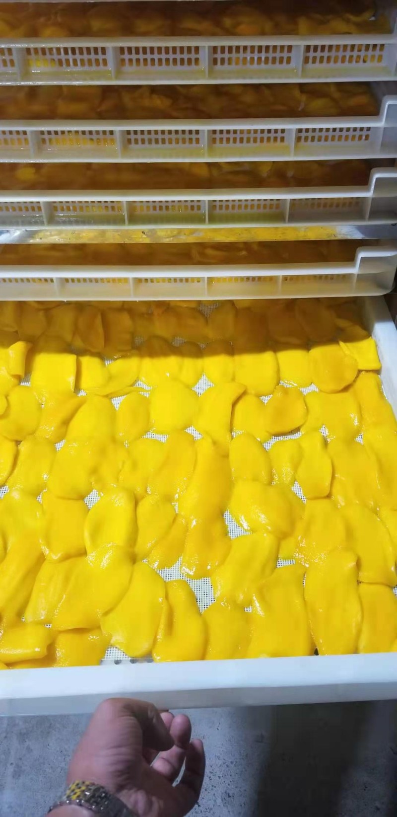 益陽瑪山產(chǎn)業(yè)機(jī)械有限公司，湖南益陽螺旋風(fēng)管廠家，熱風(fēng)食品烤房