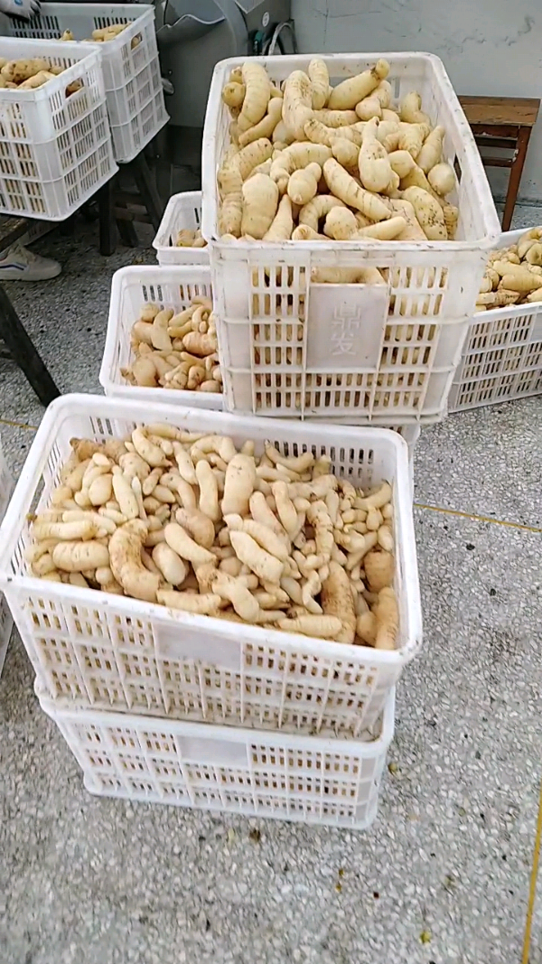 益陽瑪山產(chǎn)業(yè)機械有限公司，湖南益陽螺旋風管廠家，熱風食品烤房